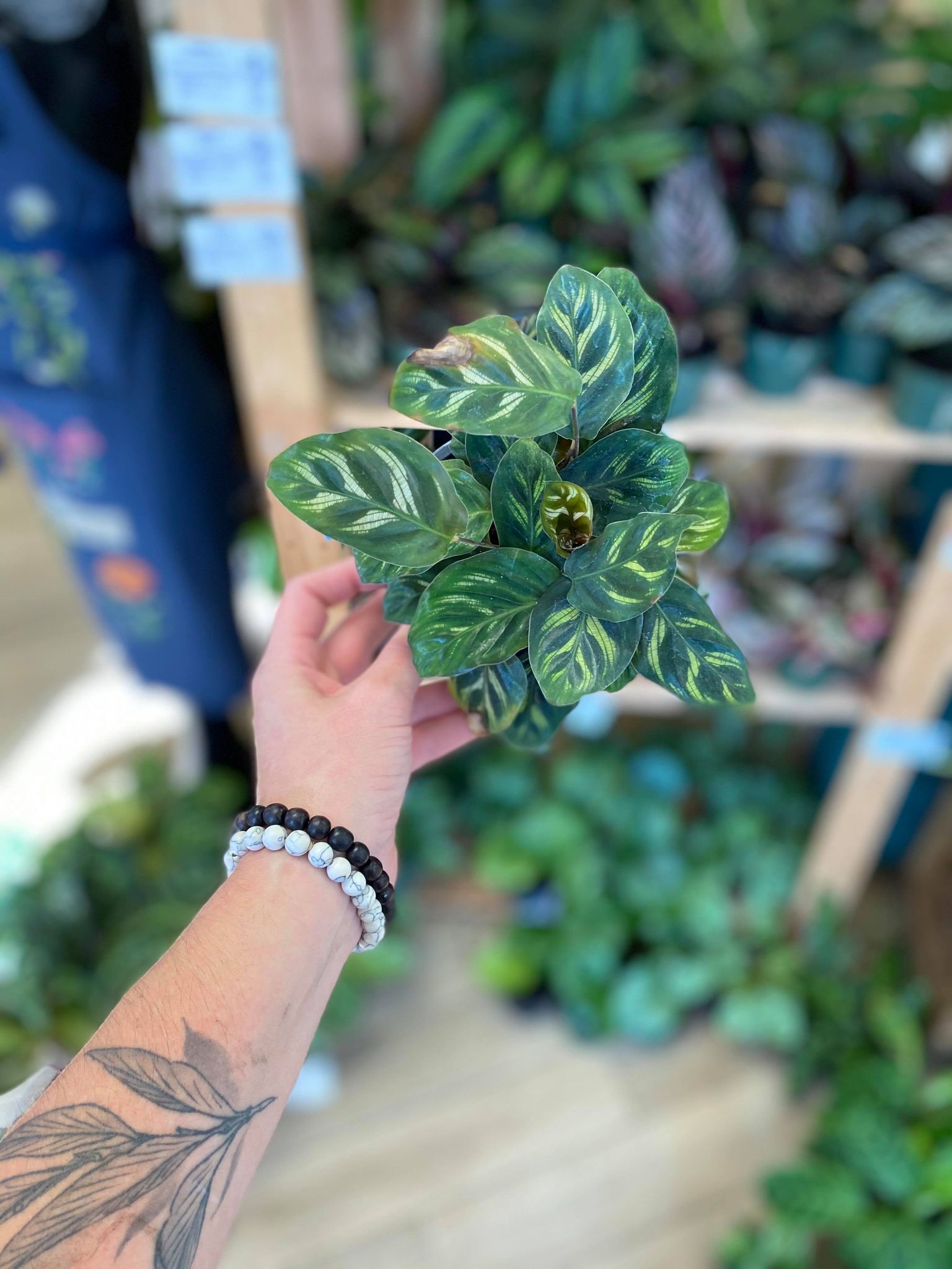 25 Stunning Plant Tattoos That Will Impress Any Plant Parent